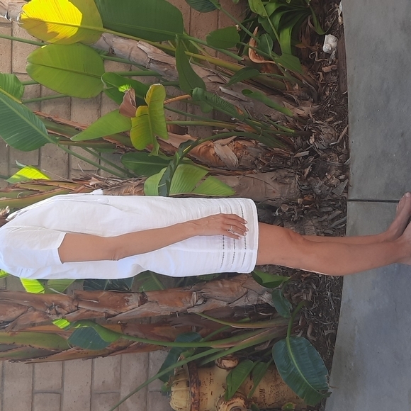 AG Adriano Goldshmeid Poppy Tee Dress True White - Picture 5 of 13
